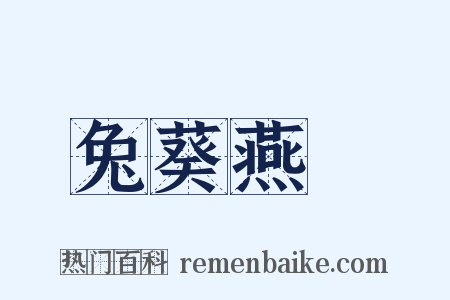 兔葵燕麥是什么意思的图片
